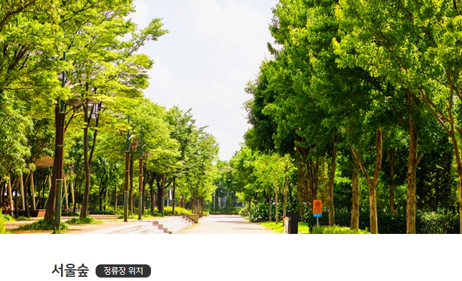 노랑풍선 시티버스