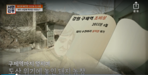 서민갑부 횡성 퀴노아 돼지