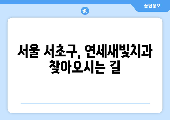 연세새빛치과의원 6월 진료시간 안내 | 서울 서초구, 치과, 진료 예약, 휴진 정보