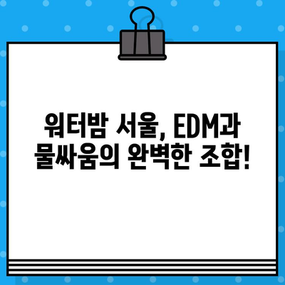 워터밤 서울 2024| 라인업 공개! 티켓 예매 정보 총정리 | 워터밤, 서울, 페스티벌, EDM, 물싸움