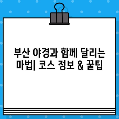 부산 나이트레이스 완벽 가이드| 예매, 가격, 꿀팁 & 코스 정보 | 부산 마라톤, 야경, 축제, 참가 정보