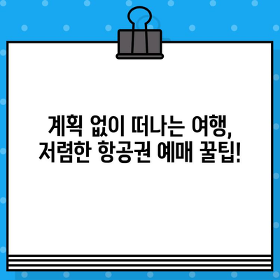 고양이 사진 일상에서 갑자기 떠난 여행! 항공권 예매 꿀팁 | 여행, 계획, 즉흥, 고양이