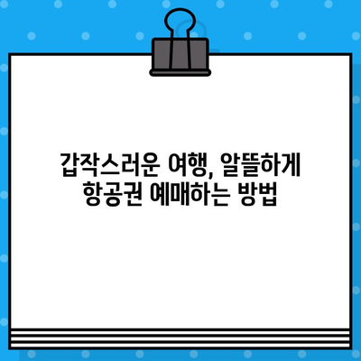 고양이 사진 일상에서 갑자기 떠난 여행! 항공권 예매 꿀팁 | 여행, 계획, 즉흥, 고양이