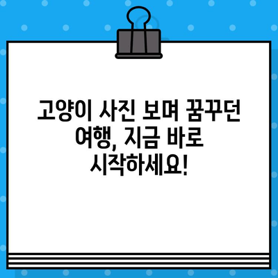 고양이 사진 일상에서 갑자기 떠난 여행! 항공권 예매 꿀팁 | 여행, 계획, 즉흥, 고양이