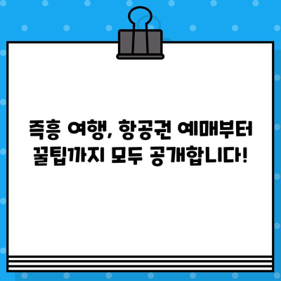 고양이 사진 일상에서 갑자기 떠난 여행! 항공권 예매 꿀팁 | 여행, 계획, 즉흥, 고양이