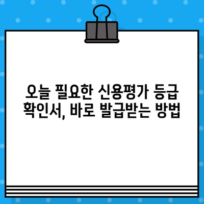 신용평가 등급 확인서 당일 발급, 어떻게 가능할까요? | 신용등급, 확인서, 당일 발급, 방법, 안내