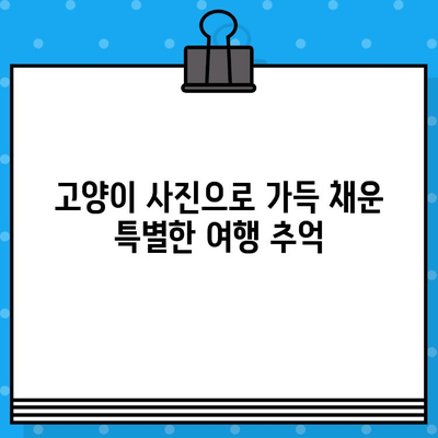 항공권 예매와 고양이 사진으로 채워진 나만의 여행 일상 | 여행 계획, 고양이, 사진, 추억