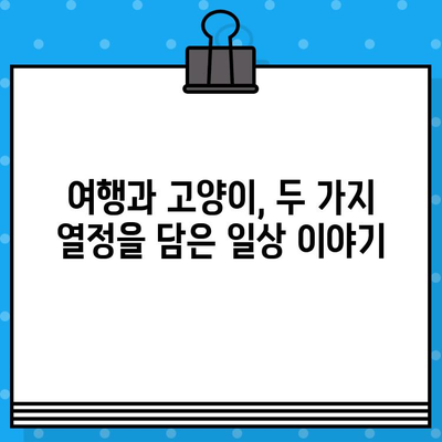 항공권 예매와 고양이 사진으로 채워진 나만의 여행 일상 | 여행 계획, 고양이, 사진, 추억