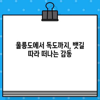 울릉도에서 독도 여행| 배편 예매부터 탑승까지 완벽 가이드 | 독도 여행, 배편 예약, 울릉도 여행