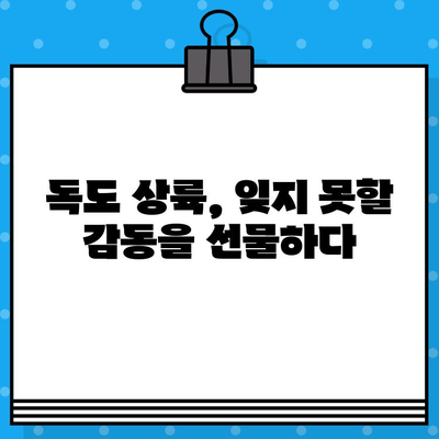 울릉도에서 독도 여행| 배편 예매부터 탑승까지 완벽 가이드 | 독도 여행, 배편 예약, 울릉도 여행