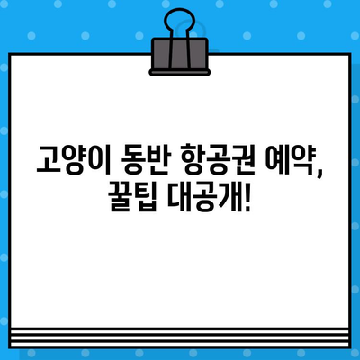 고양이 일상 사진과 함께 떠나는 여행| 항공권 예매 가이드 | 고양이, 여행, 항공권, 예약, 팁