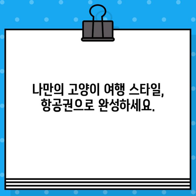 고양이 일상 사진과 함께 떠나는 여행| 항공권 예매 가이드 | 고양이, 여행, 항공권, 예약, 팁