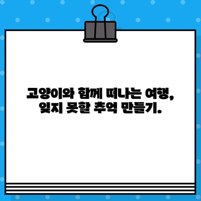 고양이 일상 사진과 함께 떠나는 여행| 항공권 예매 가이드 | 고양이, 여행, 항공권, 예약, 팁