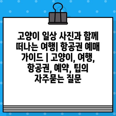 고양이 일상 사진과 함께 떠나는 여행| 항공권 예매 가이드 | 고양이, 여행, 항공권, 예약, 팁