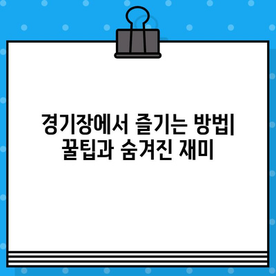 농구 경기장에서 최고의 경험을 위한 완벽 가이드 | 꿀팁, 즐길 거리, 필수 정보