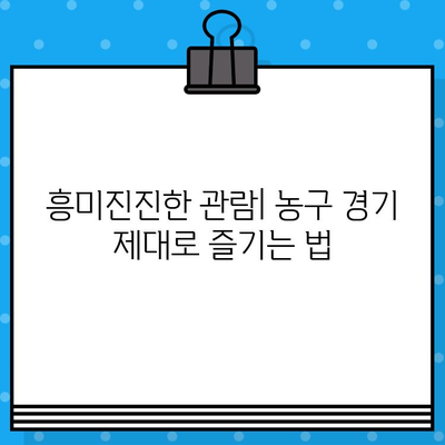 농구 경기장에서 최고의 경험을 위한 완벽 가이드 | 꿀팁, 즐길 거리, 필수 정보