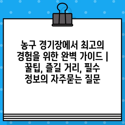 농구 경기장에서 최고의 경험을 위한 완벽 가이드 | 꿀팁, 즐길 거리, 필수 정보