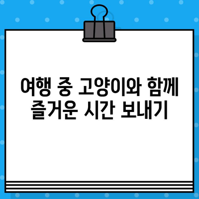 고양이 사진과 항공권 예매| 나만의 특별한 일상 만들기 | 여행, 고양이, 사진, 항공권