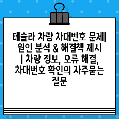 테슬라 차량 차대번호 문제| 원인 분석 & 해결책 제시 | 차량 정보, 오류 해결, 차대번호 확인