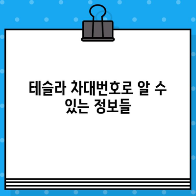 테슬라 차대번호 문제| 자동차 검사 완벽 가이드 | 테슬라, 차량 검사, 차대번호, 문제 해결