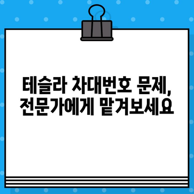 테슬라 차대번호 문제| 자동차 검사 완벽 가이드 | 테슬라, 차량 검사, 차대번호, 문제 해결