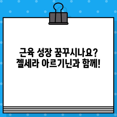 종근당 젤세라 아르기닌 고함량, 강력한 효과| 당신의 활력을 되찾아 줄 솔루션 | 피로 회복, 면역력 증진, 근육 성장