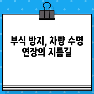 차대번호 부식, 이렇게 막아보세요! | 차량 정기 점검, 부식 방지 팁, 유지 보수 가이드