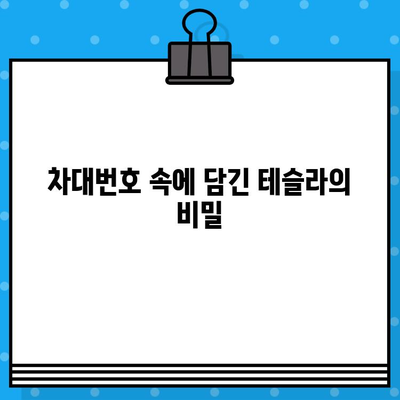 테슬라 자동차 검사, 차대번호가 숨기고 있는 이야기 | 테슬라, 자동차 검사, 차대번호, 숨은 이슈