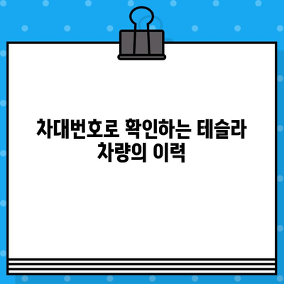 테슬라 자동차 검사, 차대번호가 숨기고 있는 이야기 | 테슬라, 자동차 검사, 차대번호, 숨은 이슈