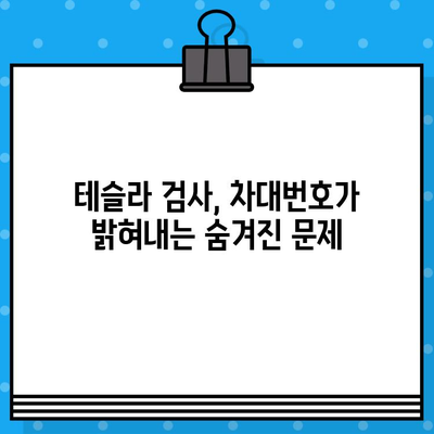 테슬라 자동차 검사, 차대번호가 숨기고 있는 이야기 | 테슬라, 자동차 검사, 차대번호, 숨은 이슈