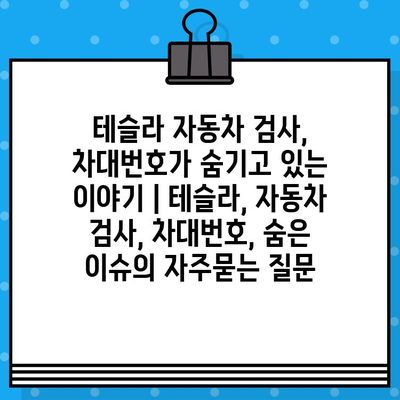 테슬라 자동차 검사, 차대번호가 숨기고 있는 이야기 | 테슬라, 자동차 검사, 차대번호, 숨은 이슈