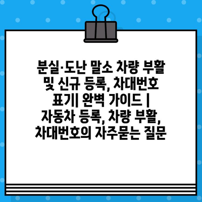 분실·도난 말소 차량 부활 및 신규 등록, 차대번호 표기| 완벽 가이드 | 자동차 등록, 차량 부활, 차대번호