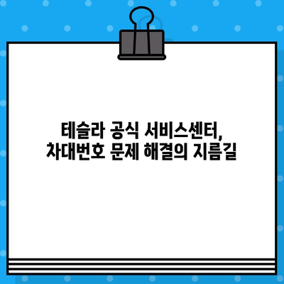 테슬라 차량 검사와 차대번호 문제| 주요 확인 사항 및 해결 방안 | 테슬라, 차량 검사, 차대번호 오류, 정비