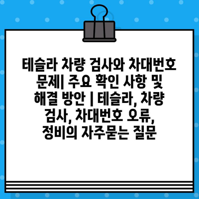 테슬라 차량 검사와 차대번호 문제| 주요 확인 사항 및 해결 방안 | 테슬라, 차량 검사, 차대번호 오류, 정비