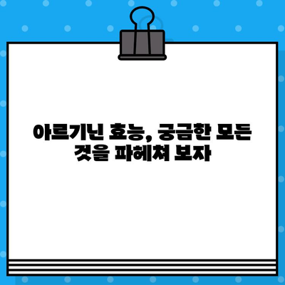 고함량 아르기닌의 놀라운 효능과 안전한 복용 가이드 | 아르기닌 효능, 아르기닌 부작용, 아르기닌 복용법