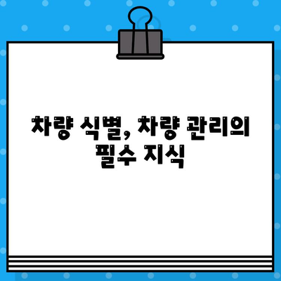 차량 식별의 핵심| 차대번호와 차량번호, 완벽하게 이해하기 | 차량 정보, 차량 식별, 차량 관리