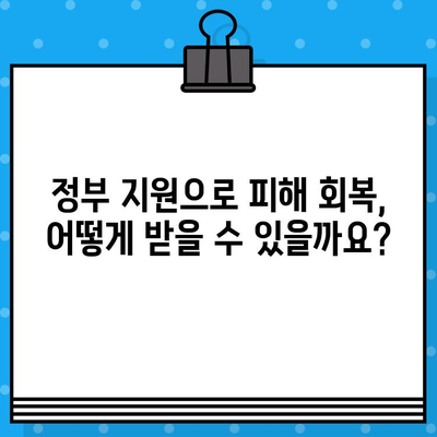 차대번호 도난 피해, 어떻게 대처해야 할까요? | 법률적 보호, 정부 지원, 피해 회복 가이드