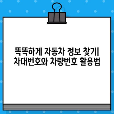 차대번호와 차량번호, 숨겨진 비밀을 파헤쳐 보세요! | 자동차 정보, 차량 식별, 번호판