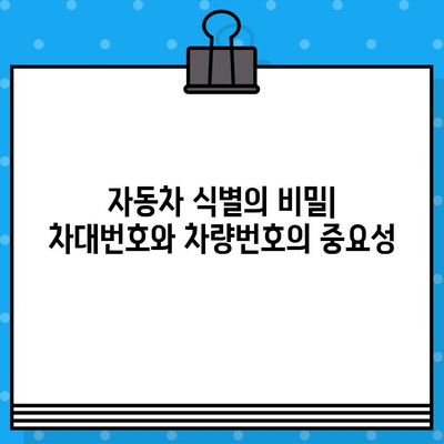 차대번호와 차량번호, 숨겨진 비밀을 파헤쳐 보세요! | 자동차 정보, 차량 식별, 번호판