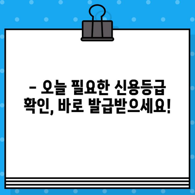 당일 신용평가등급확인서 발급, 빠르고 간편하게 해결하세요! | 신용등급 확인, 신용정보 조회, 신용평가 기관