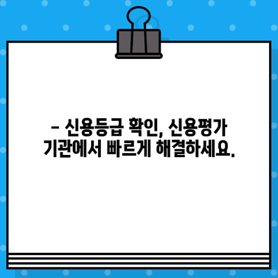 당일 신용평가등급확인서 발급, 빠르고 간편하게 해결하세요! | 신용등급 확인, 신용정보 조회, 신용평가 기관