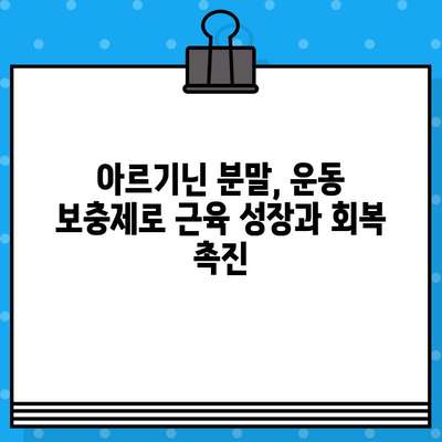 고함량 아르기닌 분말| 운동과 홈트 후 피로 회복에 효과적인 선택 | 피로 회복, 운동 보충제, 아르기닌, 홈트, 근육 회복