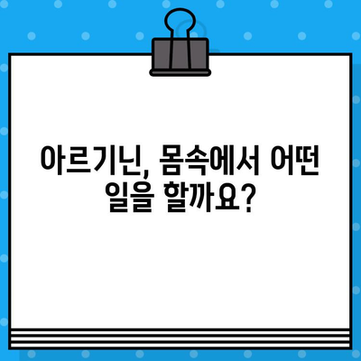 아르기닌 효능과 부작용, 고함량 아르기닌 추천| 건강 증진을 위한 완벽 가이드 | 아르기닌, 건강, 영양제, 효과, 부작용, 추천