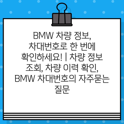 BMW 차량 정보, 차대번호로 한 번에 확인하세요! | 차량 정보 조회, 차량 이력 확인, BMW 차대번호