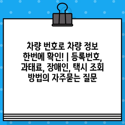 차량 번호로 차량 정보 한번에 확인! | 등록번호, 과태료, 장애인, 택시 조회 방법