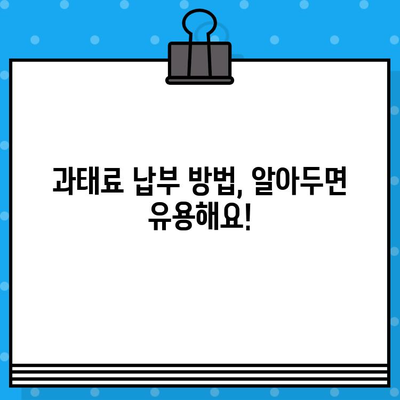 내 차량 속도위반 과태료, 벌금 조회는 이렇게! | 차량번호, 과태료 조회, 벌금 조회, 속도위반