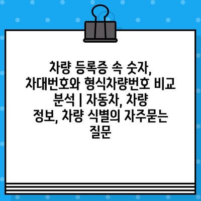 차량 등록증 속 숫자, 차대번호와 형식차량번호 비교 분석 | 자동차, 차량 정보, 차량 식별