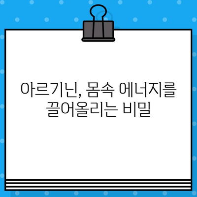 고함량 아르기닌의 놀라운 효능과 안전한 섭취 방법 | 건강, 영양, 아르기닌, 보충제, 섭취 가이드