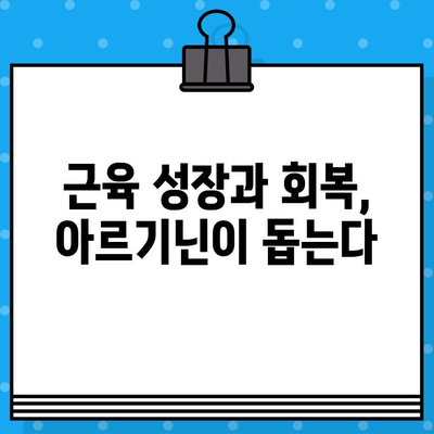 고함량 아르기닌의 놀라운 효능과 안전한 섭취 방법 | 건강, 영양, 아르기닌, 보충제, 섭취 가이드