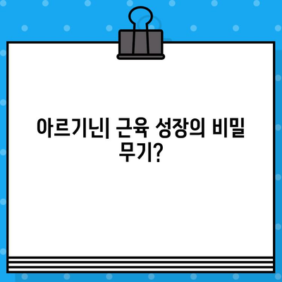 아르기닌, 근육 성장에 효과적인가? | 근육 성장, 아르기닌 효능, 운동 보충제, 운동 영양